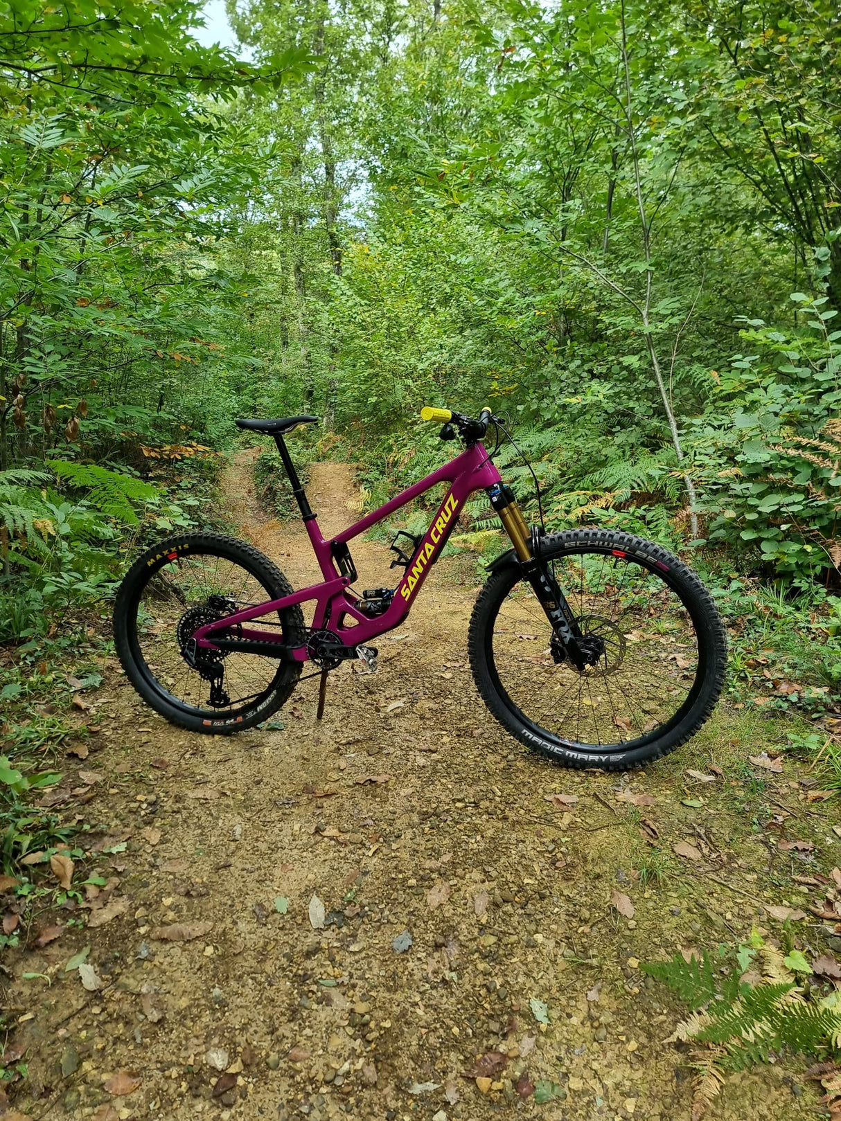 Santa Cruz Bronson XO