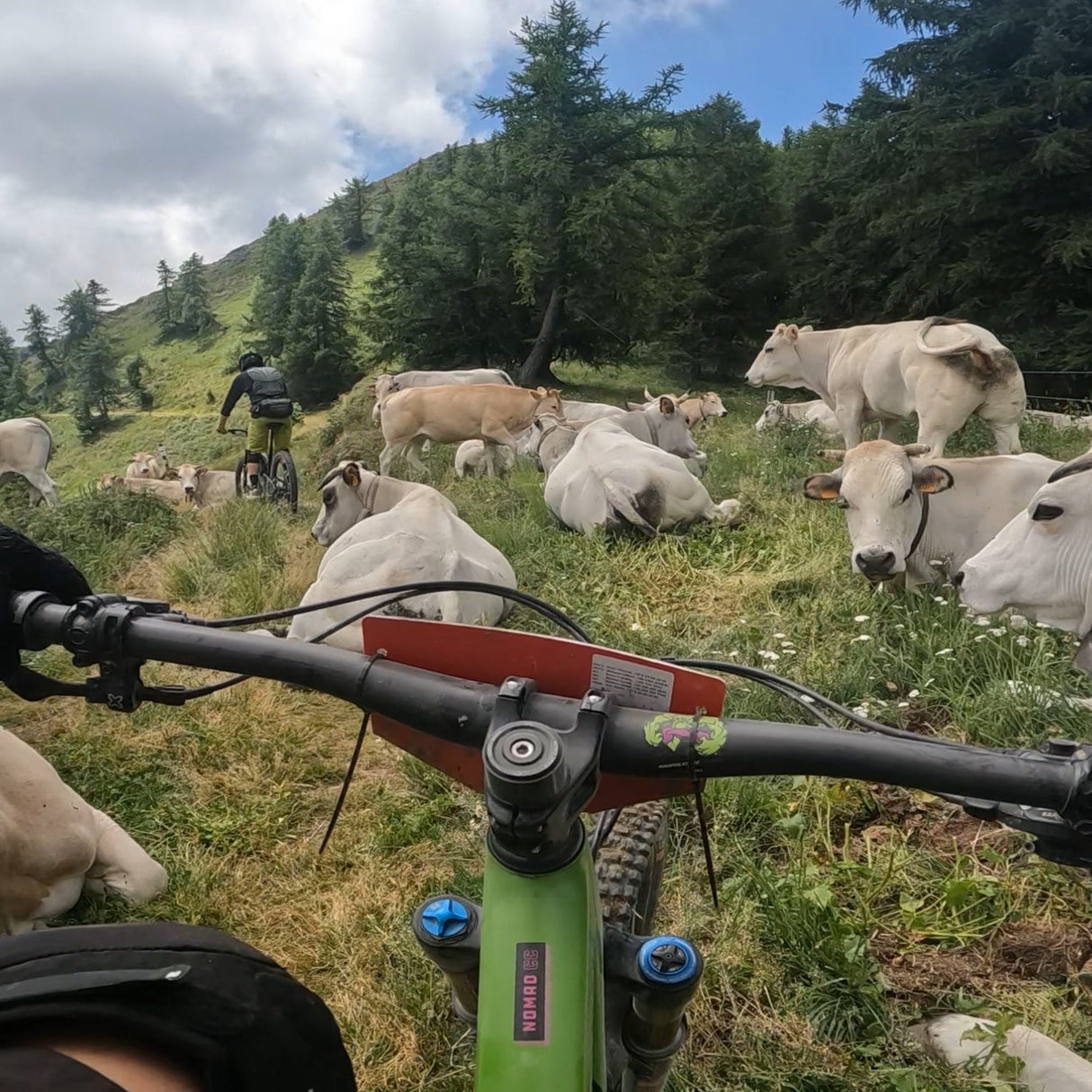 22 au 25 OCTOBRE 2026 Tour du Queyras VTTAE