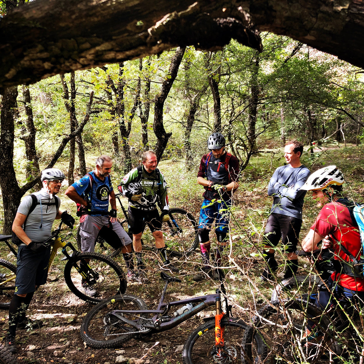 Séminaire & Team Building