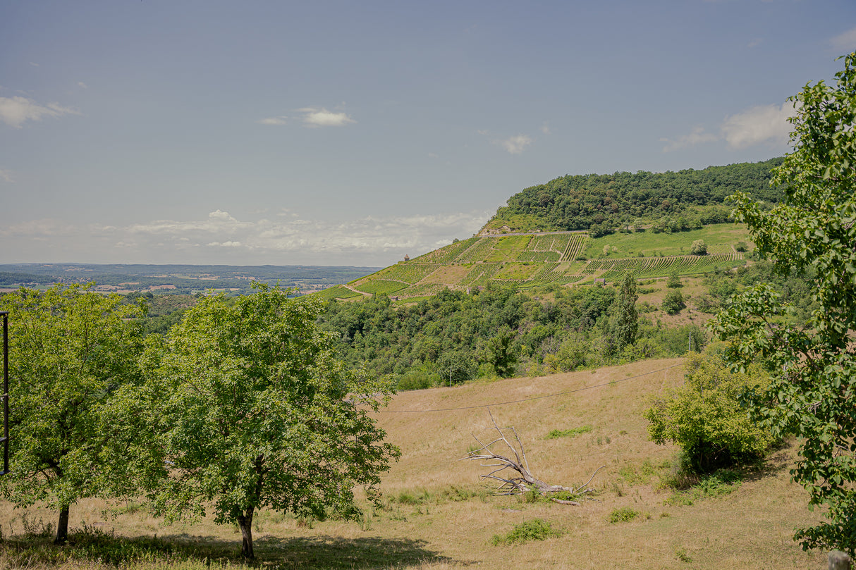 Randonnée oenologique + table vigneronne