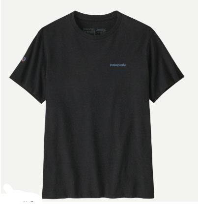 T-shirt Patagonia Fitz Roy