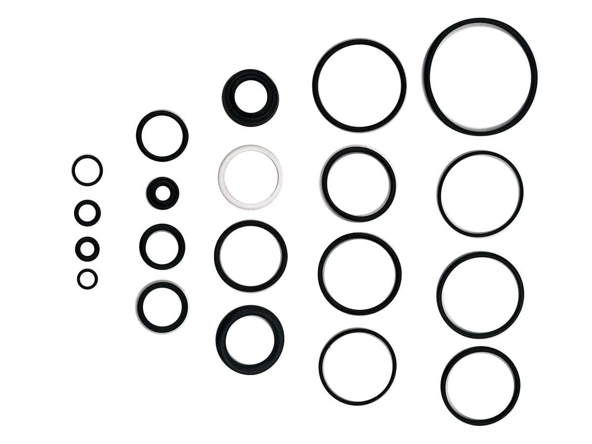 VENGEANCE 38 Air spring Seal Kit