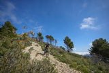 Séjour Côte D'Azur 15-17 Janvier