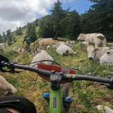 2026 Réservez votre Tour du Queyras