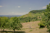 Randonnée oenologique + table vigneronne