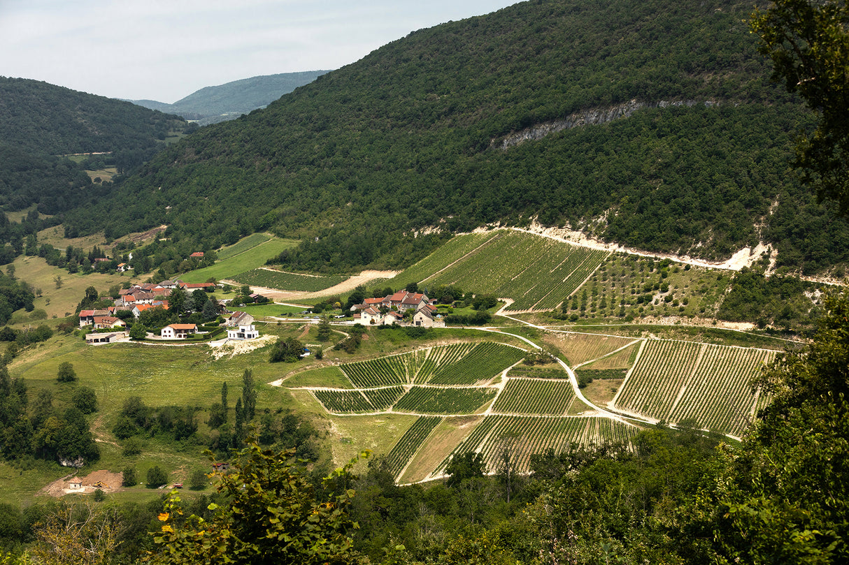 Randonnée oenologique + table vigneronne