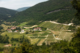 Randonnée oenologique + table vigneronne